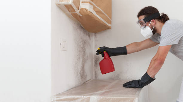 Professional Bathroom Mold Removal technician working in Long Lake, IL