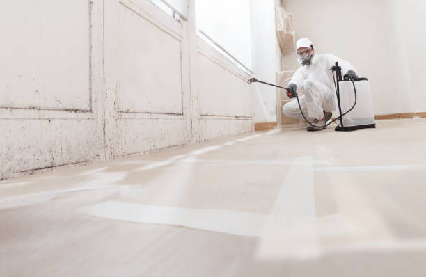 24/7 Emergency Bathroom Mold Removal experts in Long Lake, IL