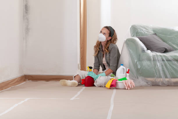Reliable Bathroom Mold Removal contractor in Long Lake, IL by WQB Mold Removal
